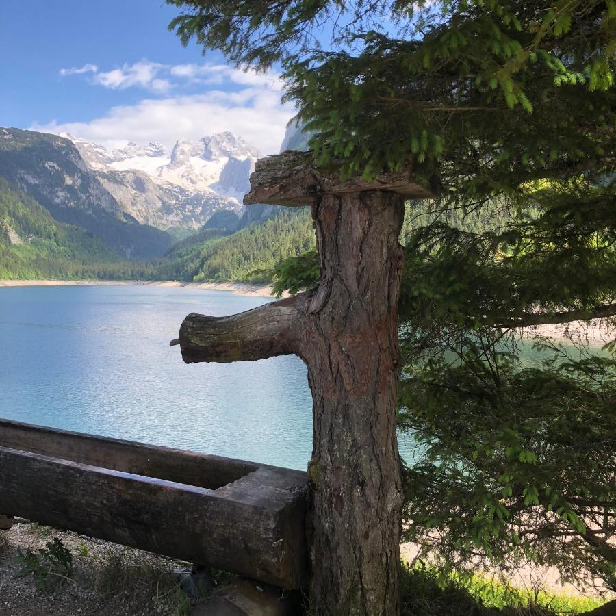 Ferienwohnungen Hager Gosau Exterior foto